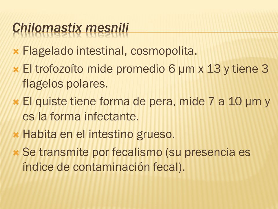 chilomastix mesnili tratamiento